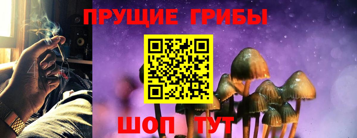 Галлюциногенные грибы Psilocybine cubensis  Псилоцибиновые грибы Magic Shrooms  Орёл  магазин продажи наркотиков  Вход с VPN 